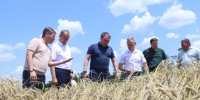 Юрий Бурлачко оценил развитие предприятий Павловского района - Газета Краснодарские известия