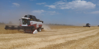 В Ипатовском округе обмолотили более 12 тыс. га. - Ипатовский городской округ