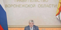 На 35% выросло число обращений воронежцев через цифровые платформы - Обозреватель.Врн