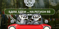 Открыта регистрация на самый яркий, самый крутой, самый незабываемый молодежный форум Кубани «Регион 93»! - Администрация Ейского района