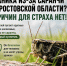Паника из-за саранчи в Ростовской области: как за секунду отличить опасного вредителя от безобидного насекомого - Bloknot-Rostov.Ru