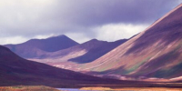 Приглашаем посетить выставки с 09 июля по 12 сентября - Дом народного творчества
