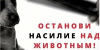 Жестокое обращение с животными не допустимо!. - Изобильненский городской округ