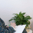 В Архангельской области подведены итоги проекта по психологической поддержке родителей детей с ограниченными возможностями здоровья - Сетевое издание Каргополье