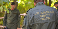 СУ СК по Саратовской области - ИА СаратовБизнесКонсалтинг