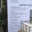 В центре Новороссийска из-за строителей могут погибнуть десятки взрослых деревьев - Газета Новороссийский рабочий
