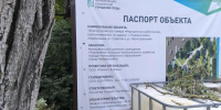 В центре Новороссийска из-за строителей могут погибнуть десятки взрослых деревьев - Газета Новороссийский рабочий