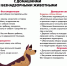 КАК ВЕСТИ СЕБЯ С ЖИВОТНЫМИ - Кадыйский район