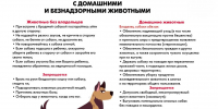 КАК ВЕСТИ СЕБЯ С ЖИВОТНЫМИ - Кадыйский район