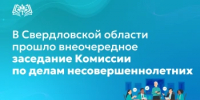 В Свердловской области прошло внеочередное заседание Комиссии по делам несовершеннолетних в связи с трагедиями на водоёмах - Министерство образования