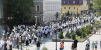 Шахматный фестиваль пройдет в Ярославской области - Ярославский регион