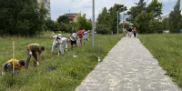 В честь 70-летия Обнинска на территории ТОС 51А появится новая аллея - Администрация города