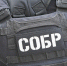 В Москве при содействии спецназа Росгвардии задержан подозреваемый в убийстве (видео) - Росгвардия