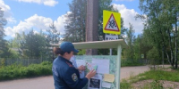 Профилактические противопожарные мероприятия в садоводствах - МО Светогорское городское поселение