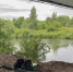 В Республике Марий Эл возбуждено уголовное дело по факту гибели на водоеме малолетнего ребенка - Следственный комитет