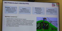 Последствия вплоть до летальных: чем опасны экстремальные хобби подростков - ИА Татар-информ