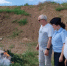 В Щербиновском районе полицейские уничтожили кусты дикорастущей конопли. - Отдел МВД России по Щербиновскому району
