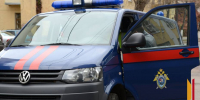 Глава СК запросил доклад после нападения собаки на ребенка в воронежском микрорайоне Боровое - РИА Воронеж