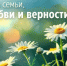 С Днем семьи, любви и верности - Барабинский район