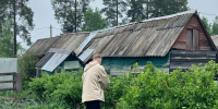 Перестала кормить слизней: 7 мощных способов спасти урожай и избавиться от проглотов - Pg11.Ru