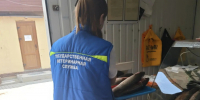 Более 300 кг рыбной продукции уничтожено по инициативе собственников на рынках города Феодосия - Комитет ветеринарии
