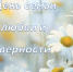 С Днём семьи, любви и верности! - Тверской ЦСМ