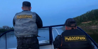 Тематическое фото пресс-служба Сахалино-Курильского ТУ Росрыболовства - SakhalinMedia.Ru