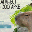 Праздник, который нельзя пропускать! - Минкультуры Сахалинской области
