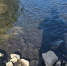 IMG_20260708_101550_633 - NeruLife.Ru
