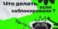 Что делать, если заблокировали Пушкинскую карту? - Shushenskoe.Info
