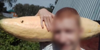 В Новосибирске нашли пропавшего 17-летнего подростка - Precedent.TV