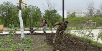 Розы украсят территорию возле монумента Героям СВО в Магадане - Мэрия города Магадана