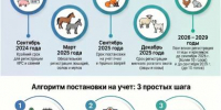 Маркировка и учет | Фотография 1 - Магнитогорский металл
