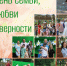 День семьи, любви и верности - Администрация г. Лесной