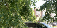 АвтоДетально. Как подготовить автомобиль к жаре в Ульяновске - Ulpravda.Ru