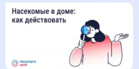 Борьба с насекомыми в многоквартирном доме - Пролетарский район