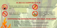 Основным виновником лесных пожаров является человек - Калтасинский район