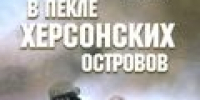 Выставка новых поступлений - Городская библиотека