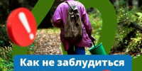 На прошлой неделе в лесах Вологодской области заблудились 8 человек. - Великоустюгский муниципальный округ
