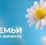 Владислав Шапша поздравил жителей Калужской области с Днем семьи, любви и верности - Калужская неделя