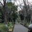В Молодогвардейске завершается благоустройство аллей в Городском парке - Департамент строительства, госэкспертизы и ЖКХ