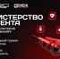 Пять тульских блогеров вошли в федеральную команду «Министерства контента» - ИА Тульская служба новостей