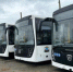 Рубцовск скоро получит новые автобусы - Rubtsovsk.Info