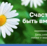 С Днём семьи, любви и верности! - Министерство по управлению госимуществом