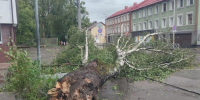 Подтопления, упавшие деревья, отсутствие света: сводка происшествий на 8.00 - NewKaliningrad.Ru