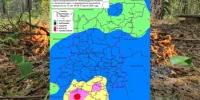 Сводка пожароопасности на 07.07.2026 - Министерство лесного хозяйства