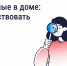 ​Борьба с насекомыми в многоквартирном доме - Департамент строительства, ЖКХ, энергетики и транспорта