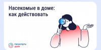 ​Борьба с насекомыми в многоквартирном доме - Департамент строительства, ЖКХ, энергетики и транспорта