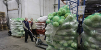 326,4 тыс. тонн сельхозпродукции экспортировано из Волгоградской области - Газета Городские вести