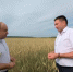Утро в полях: как развивается наш агросектор - Балтачевский район